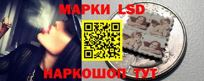 прущие грибы Краснодар